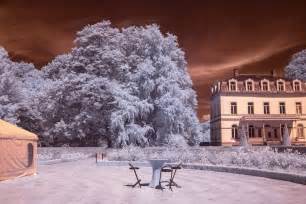 Infrared Nature Photography – Fubiz Media