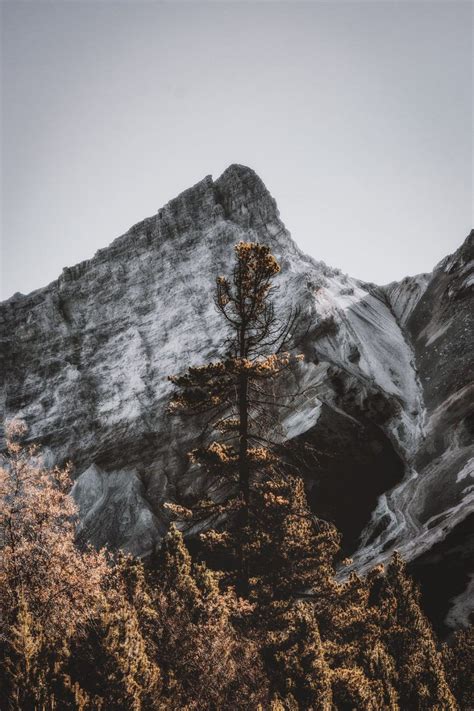 30 Free Beautiful Mountain Wallpapers For iPhone You Need See | Iphone ...
