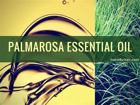 Palmarosa Essential Oil review - tips, applications and recipes