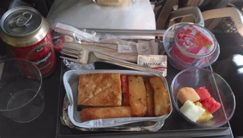 Business Class Food Vs. Economy Class Food (42 pics) - Izismile.com