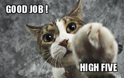 Good Job Cat Meme