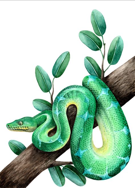 Esmeralda árbol boa serpiente pintura reptiles decoración sala | Etsy