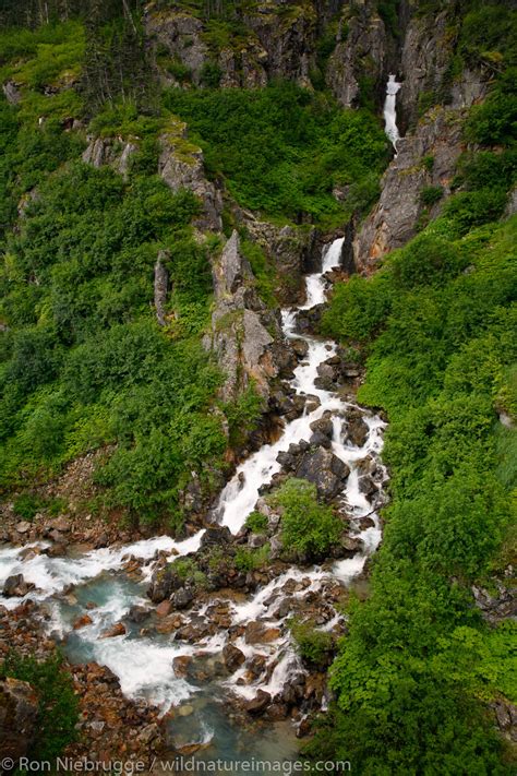 Tongass National Forest | Photos by Ron Niebrugge