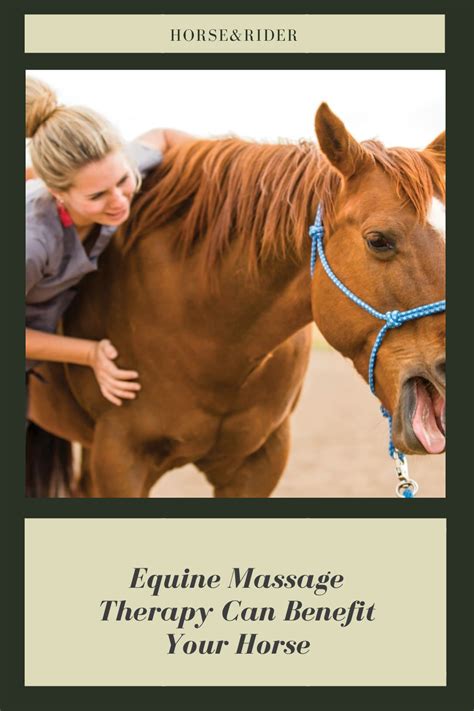 Equine massage therapy can benefit your horse – Artofit