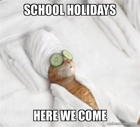 School Holidays Here we come - Pampered Cat Meme Meme Generator