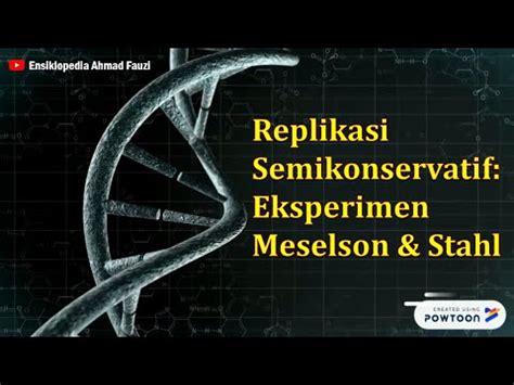 Mengapa Replikasi DNA Digambarkan sebagai Semikonservatif - Perbedaan Antara - 2024