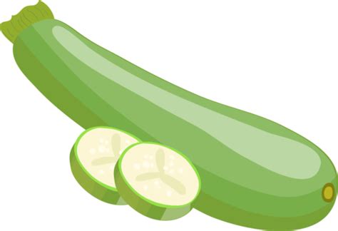 A Zucchini Vector Or Color Illustration Clipart Immature Illustration ...