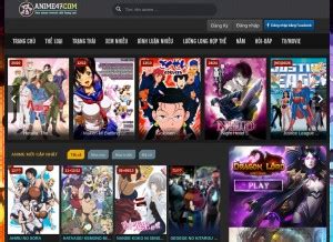 anime47.com Domain Owner Whois and Analysis