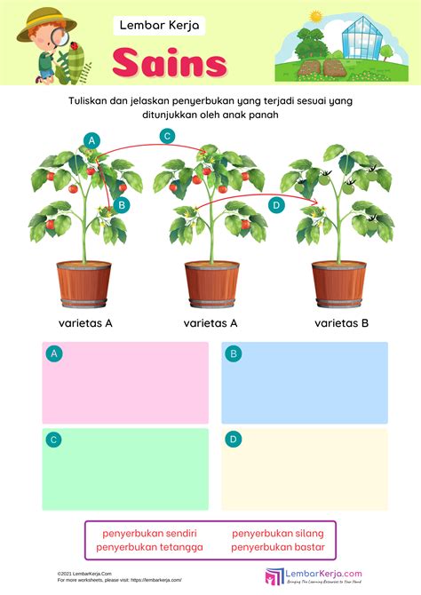 IPA: Penyerbukan Bunga - LembarKerja.Com