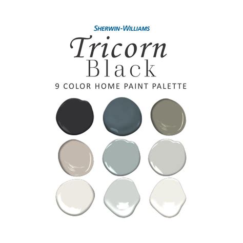 Sherwin Williams Tricorn Black Paint Color Palette Front - Etsy House Color Palettes, Paint ...