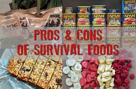 Pros & Cons Of Various Survival Foods | Prepper's Will