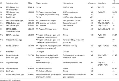 Current classification of well-characterized syndactyly types ...