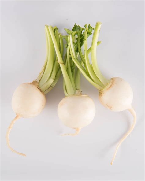 White Trimmed Turnip | The Chef's Garden