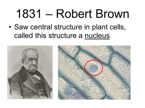 Contributions to the Cell Theory timeline | Timetoast timelines