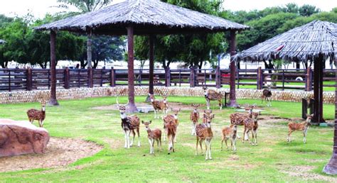 Al Khor Family Park to open on Sunday | All & About | Your lifestyle ...