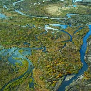 4 Primary Wetland Types (Pics & Facts) - Pond Informer