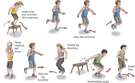 polymetric exercises Archives - Sushant Kumar