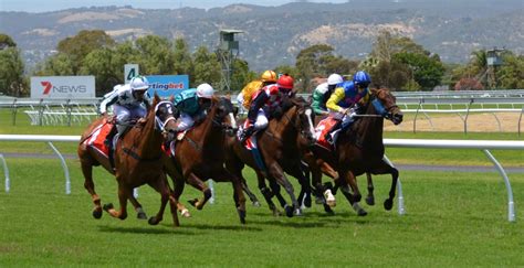 Free Images : rider, pasture, thoroughbred, horses, mare, jockey, race track, horse racing ...