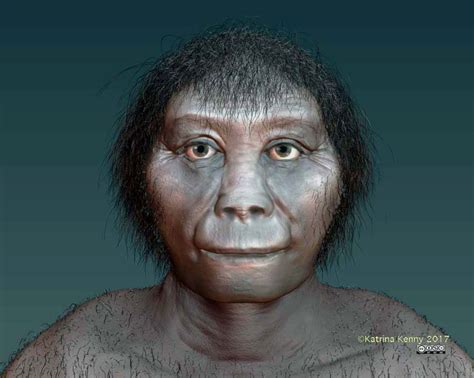 Homo Erectus Upright Man Facts