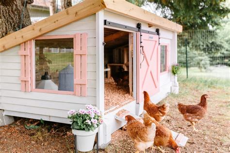 How to Choose Chicken Coops for Sale in Oklahoma | Interior Design Ideas and Architecture ...