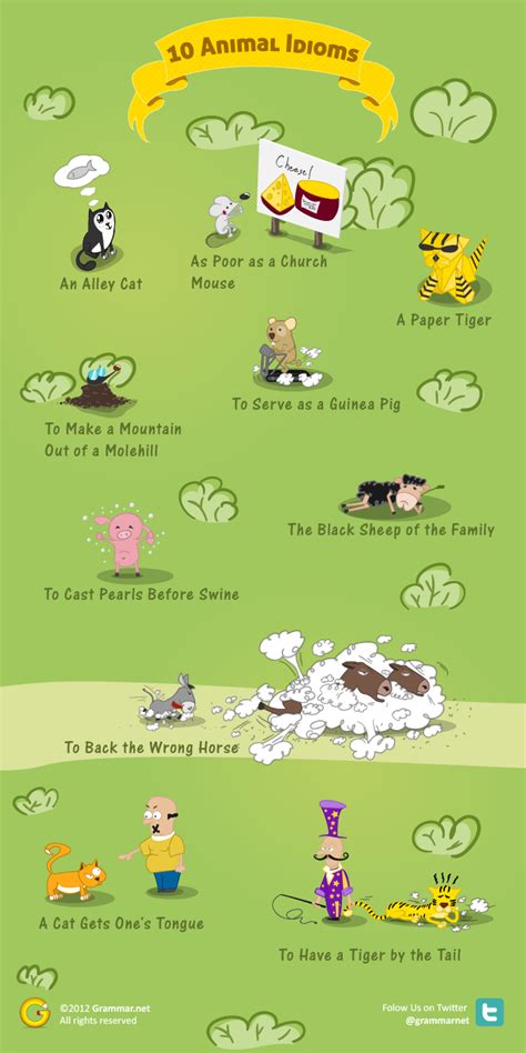 10 Animal Idioms and What They Mean | Kaplan Blog