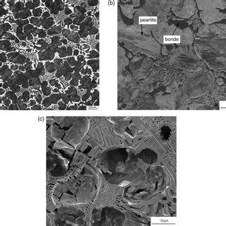 Microstructure of high boron white cast iron after air quenching: (a)... | Download Scientific ...