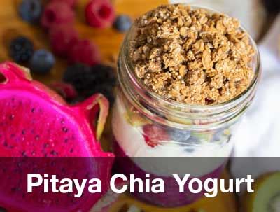 Other Pitaya Recipes | There are So Many Ways You Can Make Pitaya