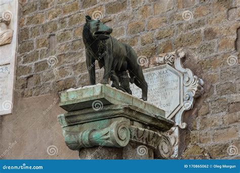 Symbol of Rome a she-wolf on Capitol Hill Stock Photo - Image of roma ...