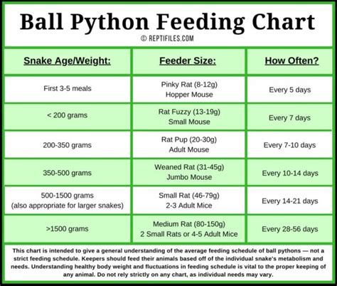 Ball Python Feeding Tips | ReptiFiles' Ball Python Care Guide