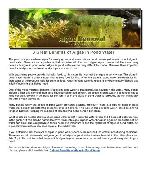 3 Great Benefits of Algae in Pond Water