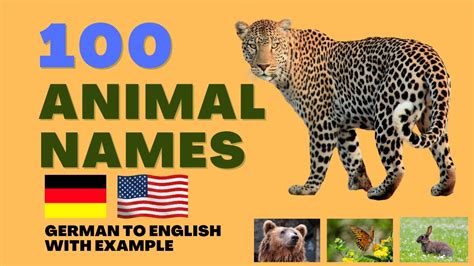 100 German Animal names with examples | Tiere Namen in Deutsch - YouTube