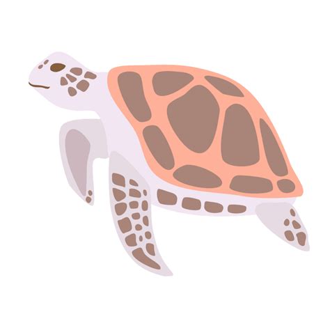 Sea turtle PNG file in 2023 | Sea turtle, Turtle, Png