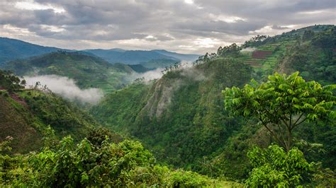 Fall in Love with Nature in Rwanda | Rwanda Safaris Tours | Rwanda