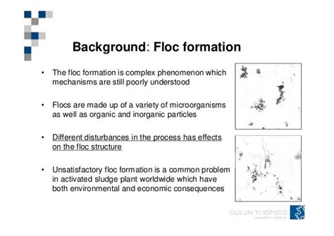 On-line optical monitoring of activated sludge floc morphopoly