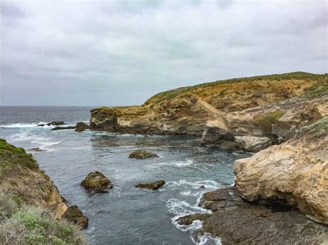 Point Lobos Hiking: Top 6 Trails to Hike at the California Coastal Park! - Roadtripping California