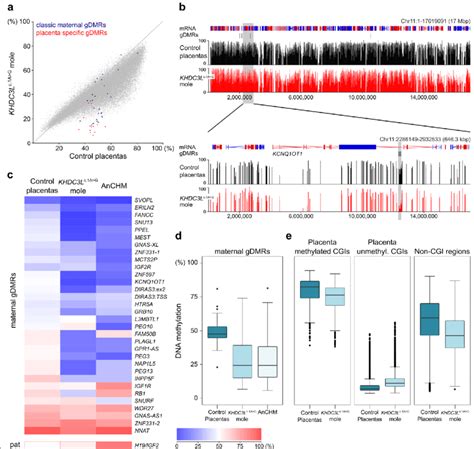 DNA methylation analysis of molar tissue of a patient with a KHDC3L... | Download Scientific Diagram