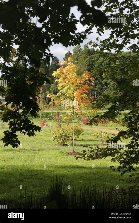 Dumfries House gardens & grounds, Cumnock, East Ayrshire, Scotland, UK ...