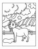 Premium Vector  Farm animals coloring Pages Or Book For Kids sketch template