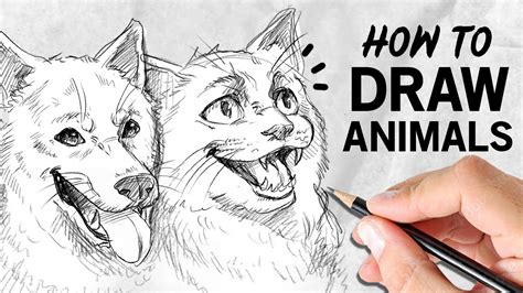 Sketch of an Animal: Unleash Your Creative Side and Create a Stunning Portrait of Your Furry Friend!