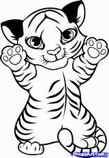 Cute Tiger Coloring Pages  Add Some Wild Fun To Your Time sketch template