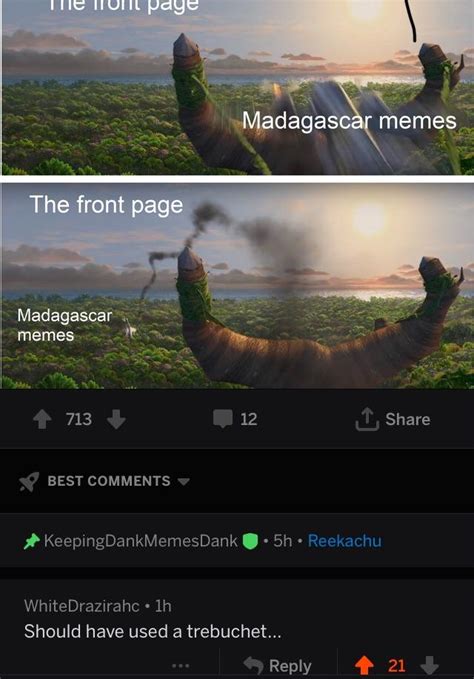 Madagascar Memes Be Like | Scrolller