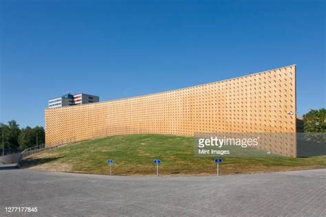 Modern Wood Wall Texture ストックフォトと画像 - Getty Images