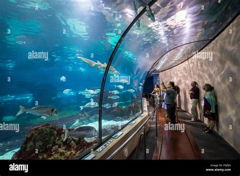 Laquarium de barcelona hi-res stock photography and images - Alamy