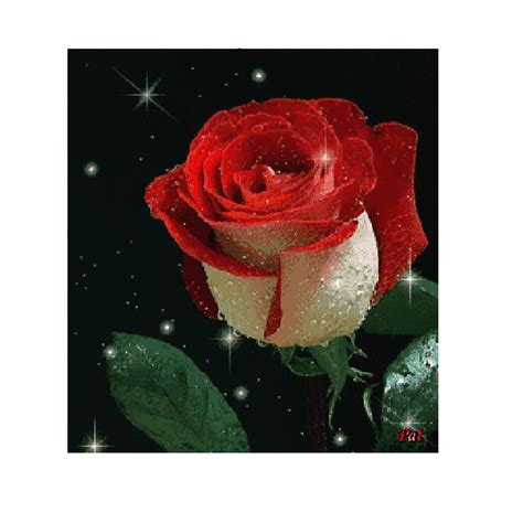 Montages, Roses, Painting, Art, Collages, Art Background, Pink, Rose ...