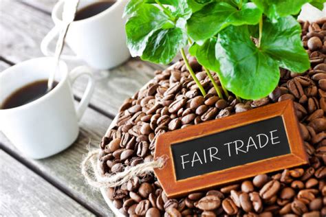 1,800+ Fairtrade Coffee Beans Stock Photos, Pictures & Royalty-Free Images - iStock