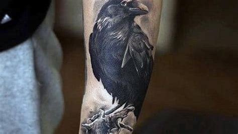 Raven Perched Tattoo On Forearms For Men HD Tattoo For Men Wallpapers | HD Wallpapers | ID #77261