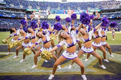 2019 Baltimore Ravens Cheerleaders Auditions Info