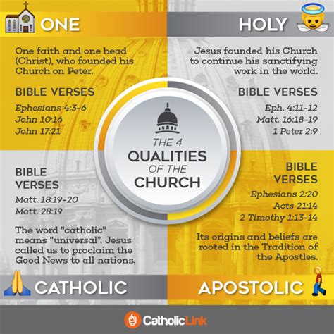 The 4 qualities of the Catholic Church (one, holy, Catholic and apostolic) - Go to Mary