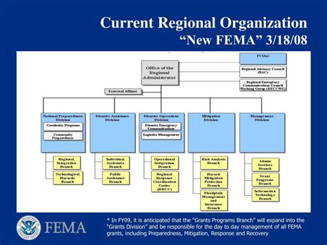 Fema Org Chart 2024 India Pdf - Cinda Nerita