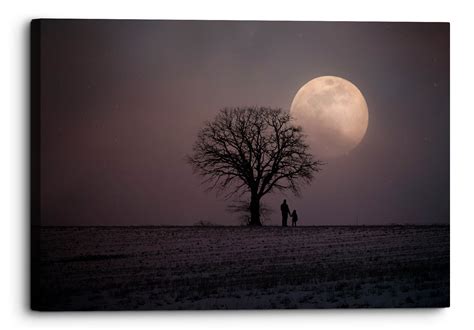 Winter Moonscape Night Sky Canvas Wall Art Picture Home | Etsy